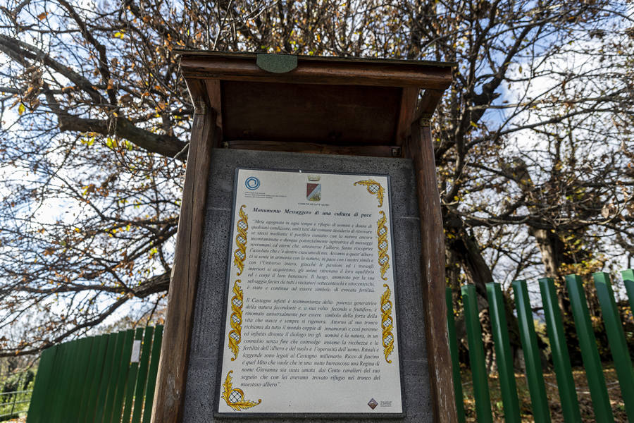 (dng)?sh)ؕr(sh)g20211124၆(dng)?sh)һ?000ͦfҕXЇ(qun)ƷՈ(qng)D(zhun)d