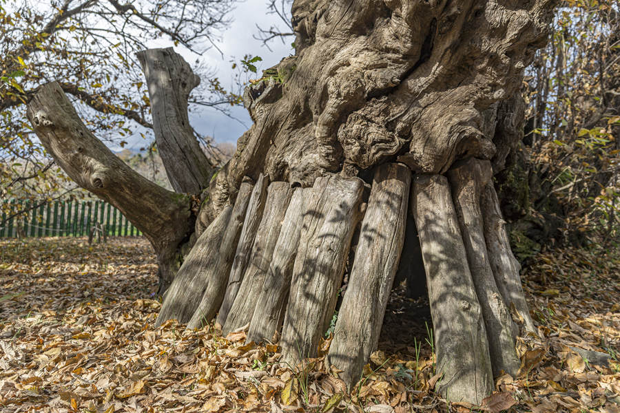 (dng)?sh)ؕr(sh)g20211124գ၆(dng)?sh)һ?000ͦfҕXЇ(qun)ƷՈD(zhun)d