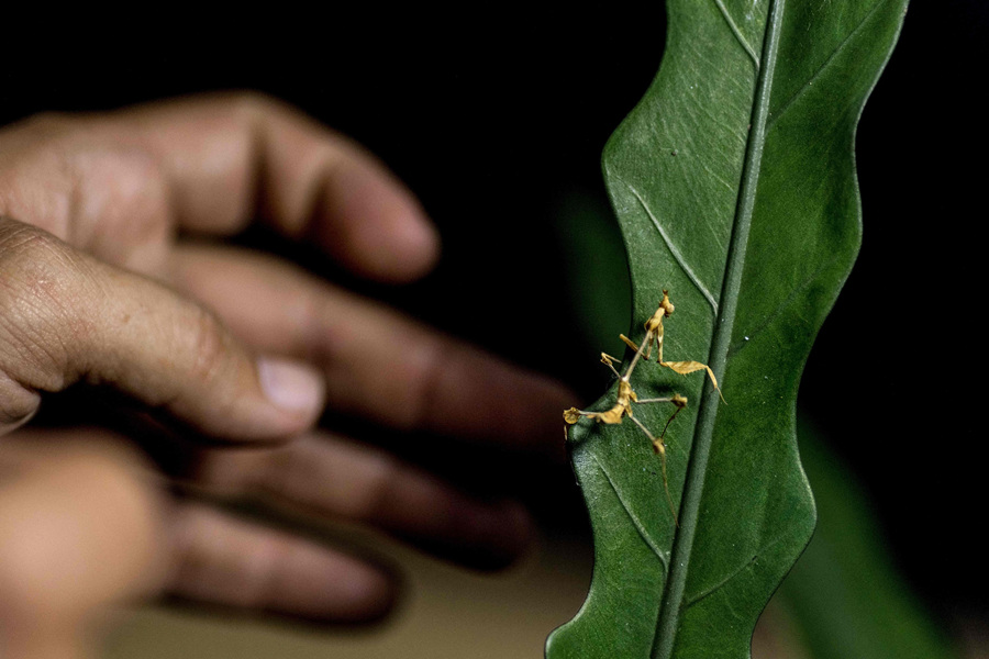 (dng)?sh)ؕr(sh)g20211125̩(gu)e2021ꌙﲩ[(hu)ҕX(ju)Ї(gu)(qun)ƷՈ(qng)D(zhun)d