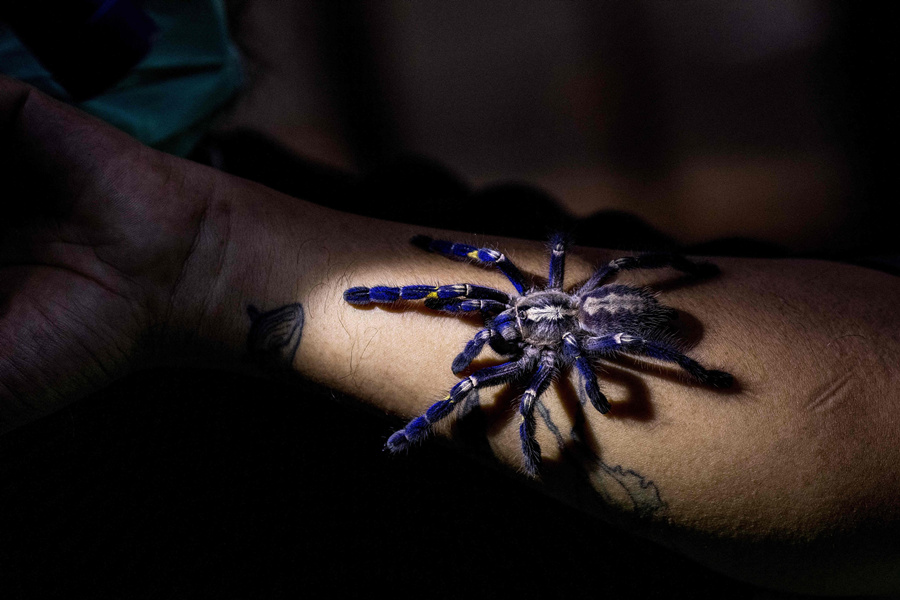 ?sh)ؕrg20211125̩e2021ꌙﲩ[ҕXЇƷՈD(zhun)d