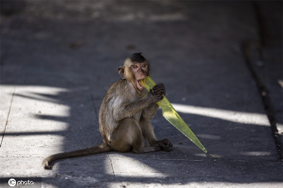 ICPhoto(qun)ƷՈD(zhun)d