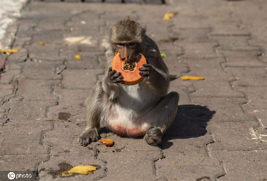 ICPhoto(qun)ƷՈD(zhun)d