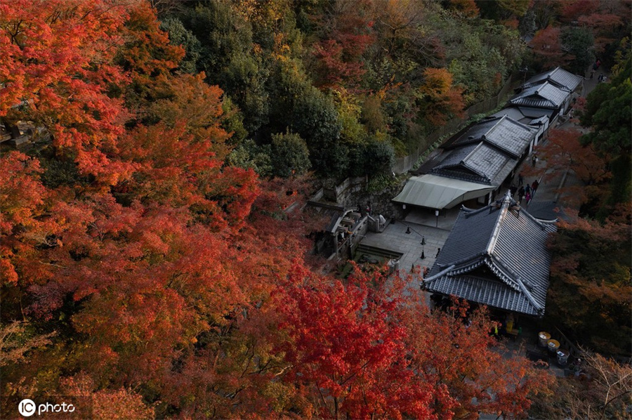 ICPhoto(qun)ƷՈ(qng)D(zhun)d