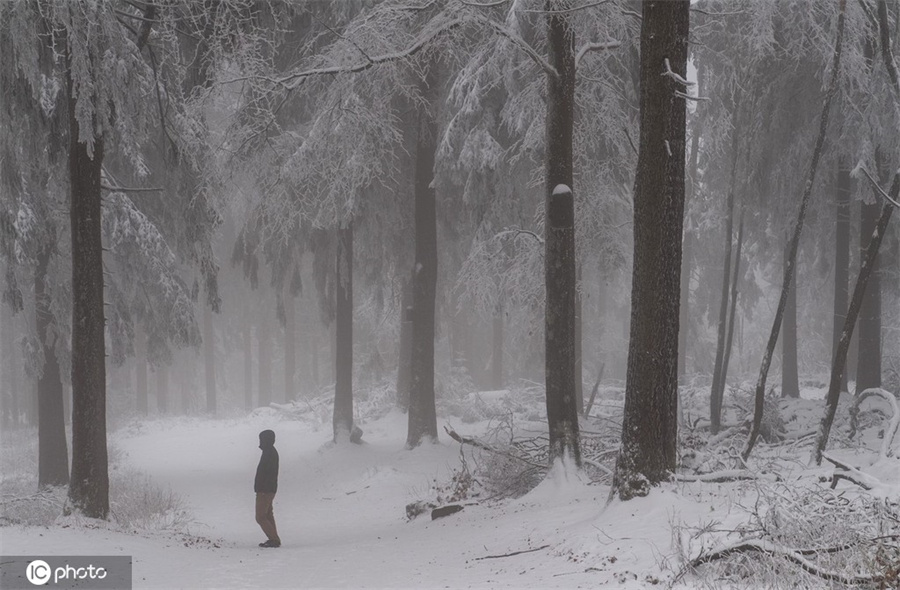 ICPhoto(qun)ƷՈ(qng)D(zhun)d