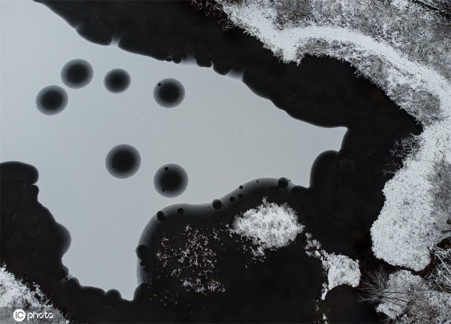 ICPhoto(qun)ƷՈ(qng)D(zhun)d