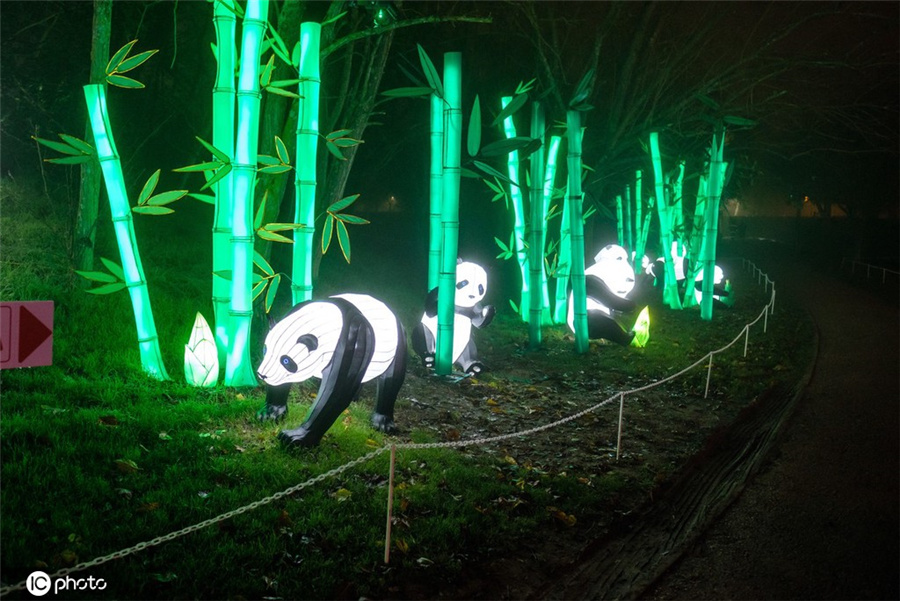 ICPhoto(qun)ƷՈD(zhun)d