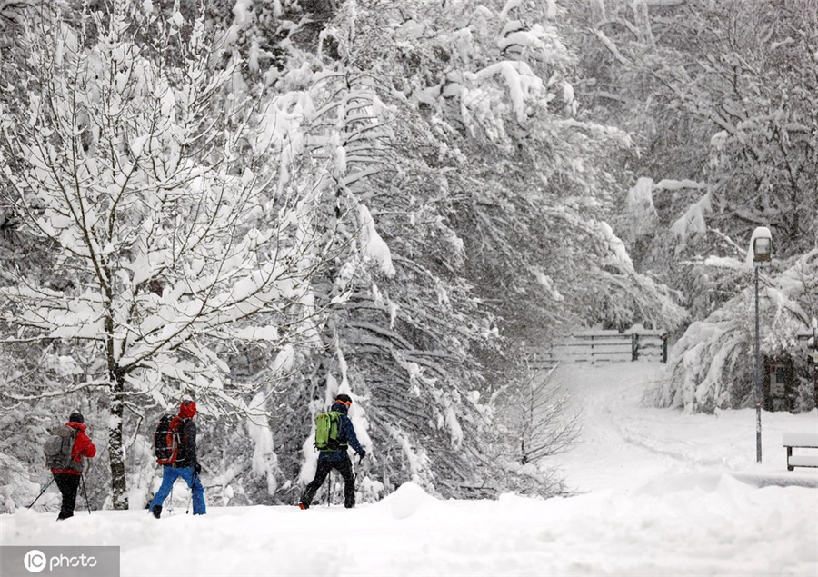 ICPhoto(qun)ƷՈD(zhun)d