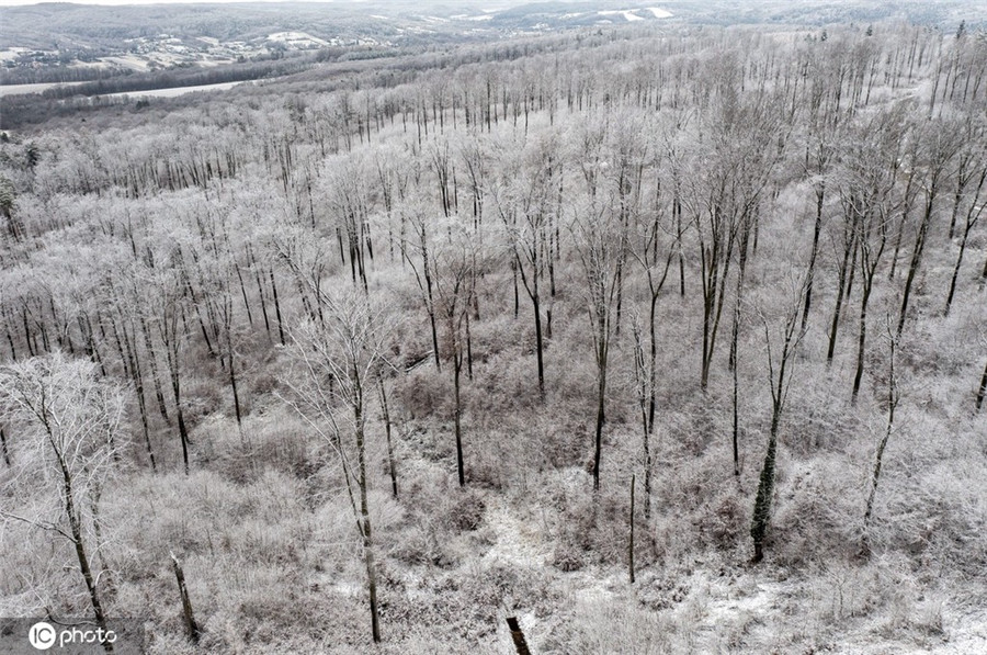 |IC(qun)ƷՈ(qng)D(zhun)d