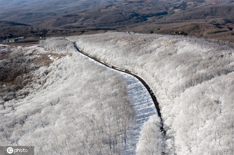 |IC(qun)ƷՈ(qng)D(zhun)d