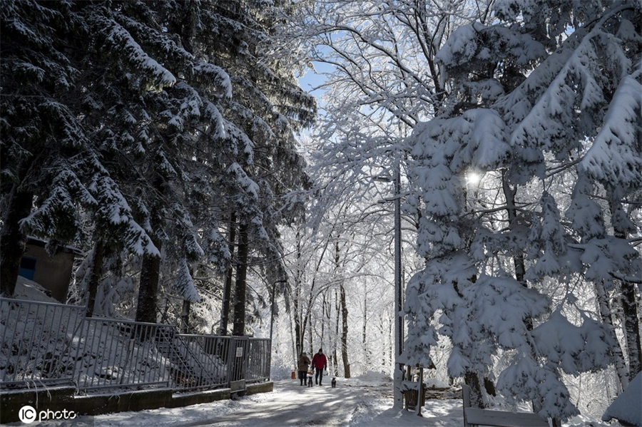 |IC(qun)ƷՈ(qng)D(zhun)d