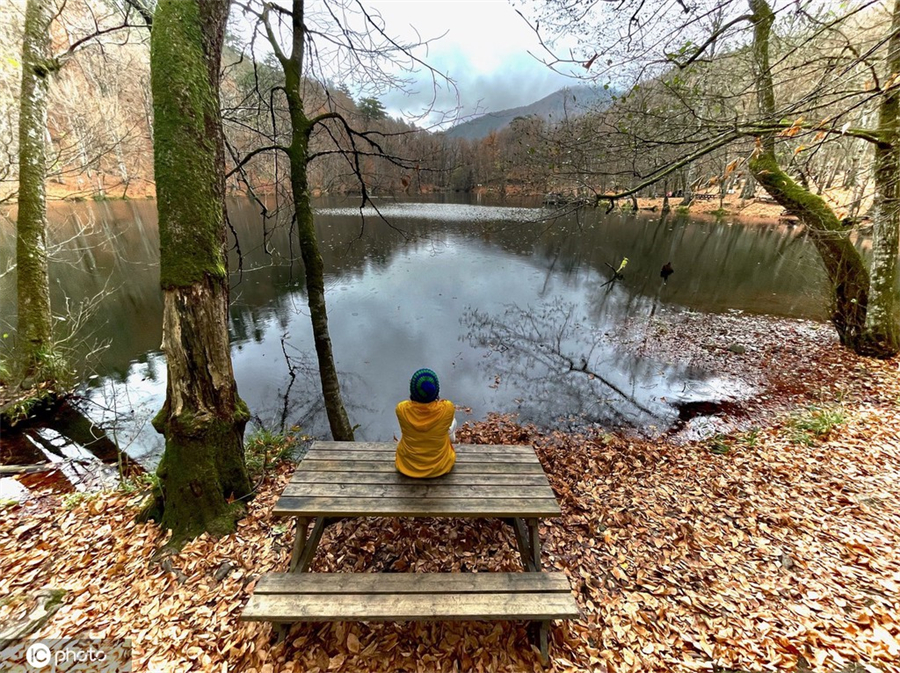 |IC(qun)ƷՈD(zhun)d