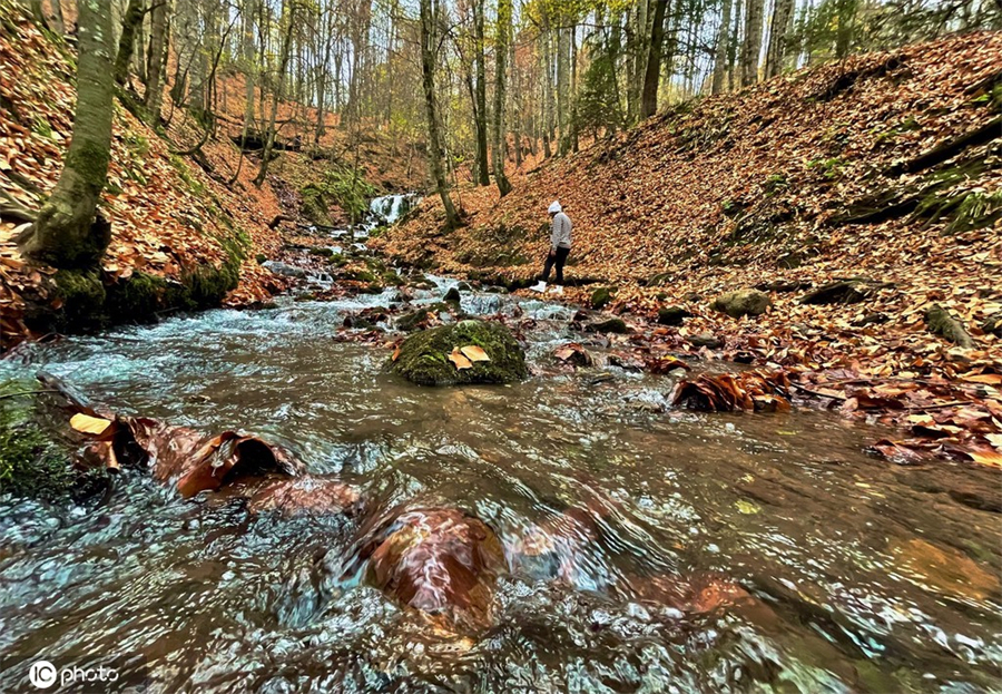 |IC(qun)ƷՈ(qng)D(zhun)d