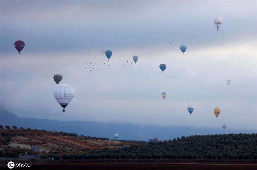 |IC(qun)ƷՈD(zhun)d