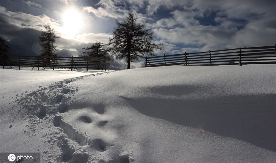 |IC(qun)ƷՈ(qng)D(zhun)d