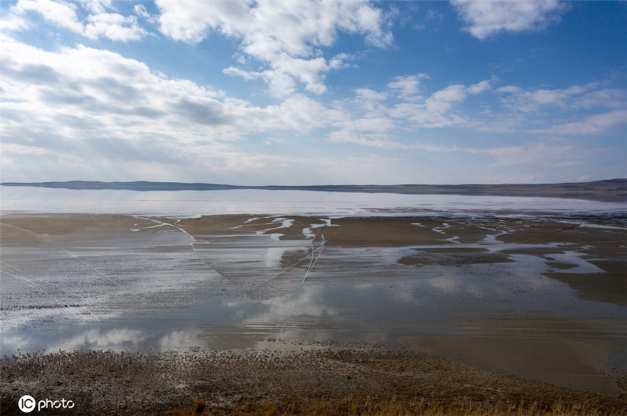 |IC(qun)ƷՈD(zhun)d