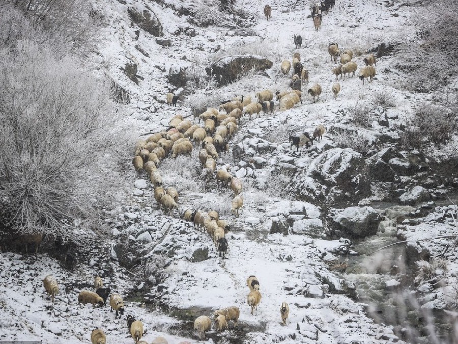 ICPhoto(qun)ƷՈ(qng)D(zhun)d