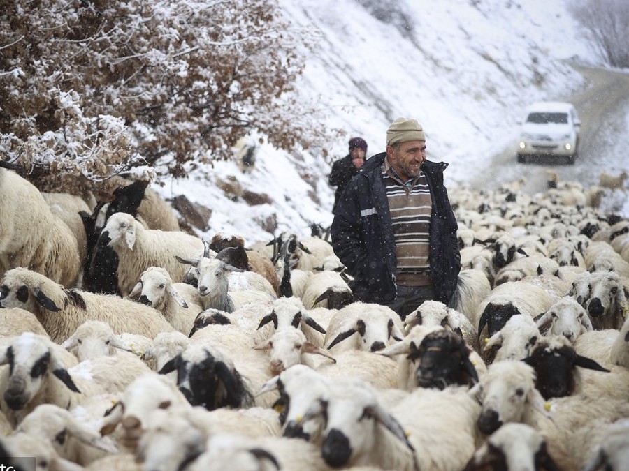 ICPhoto(qun)ƷՈD(zhun)d