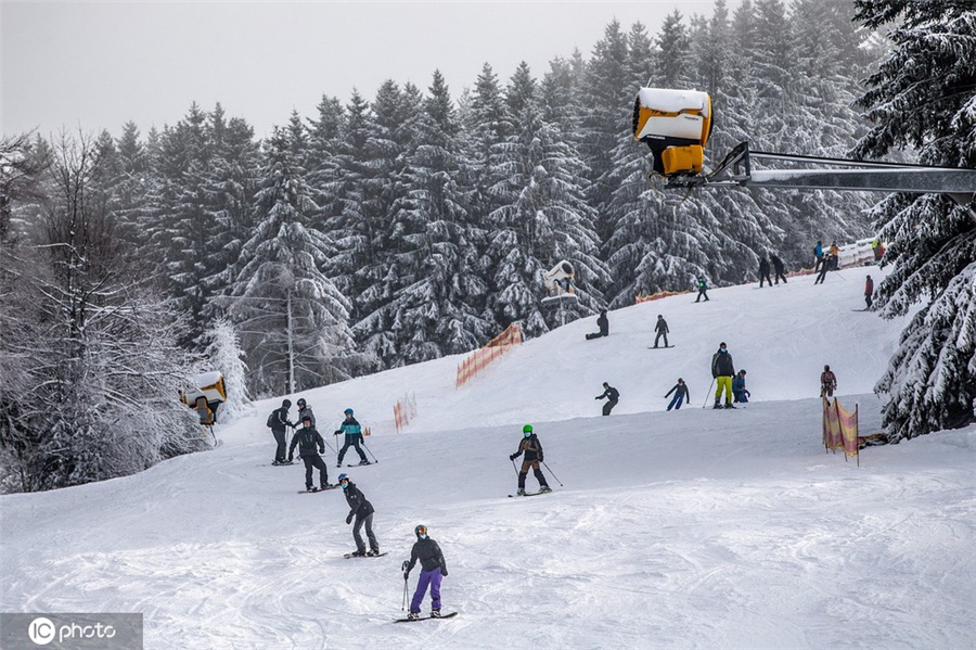 ICPhoto(qun)ƷՈ(qng)D(zhun)d