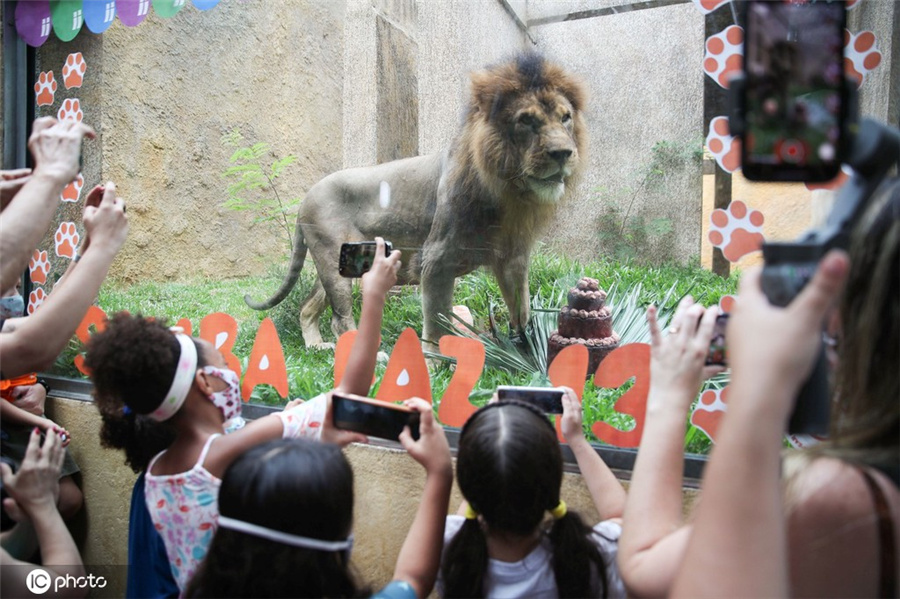 ICPhoto(qun)ƷՈ(qng)D(zhun)d