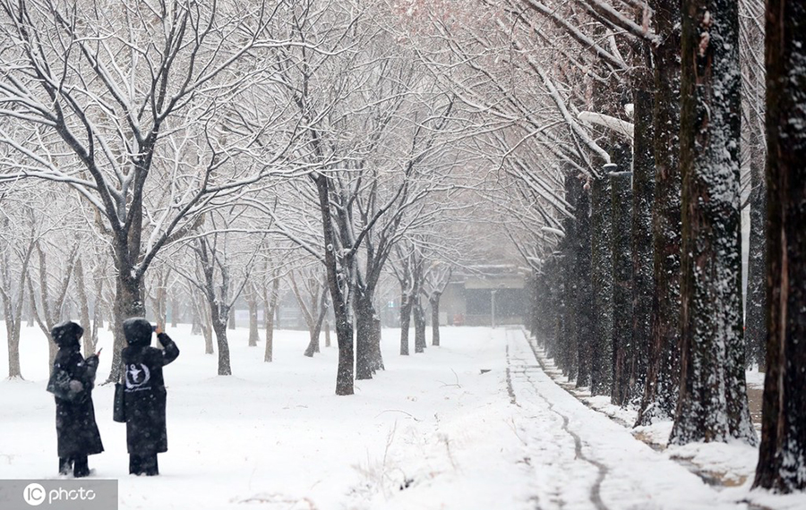 ICPhoto(qun)ƷՈ(qng)D(zhun)d