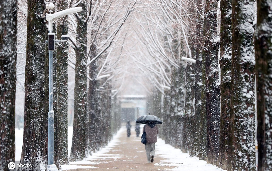 ICPhoto(qun)ƷՈ(qng)D(zhun)d