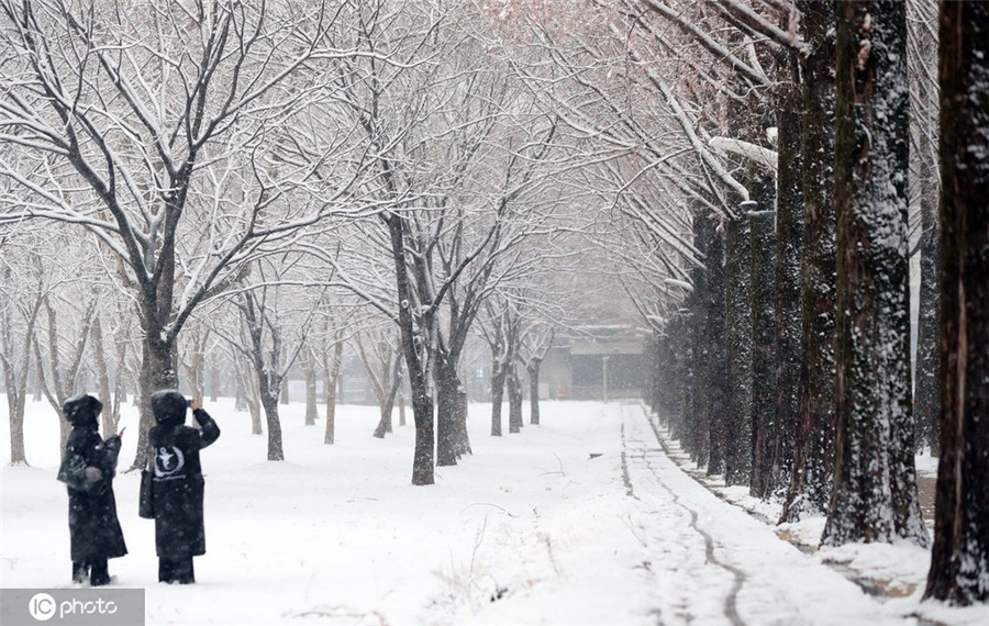 |IC(qun)ƷՈ(qng)D(zhun)d