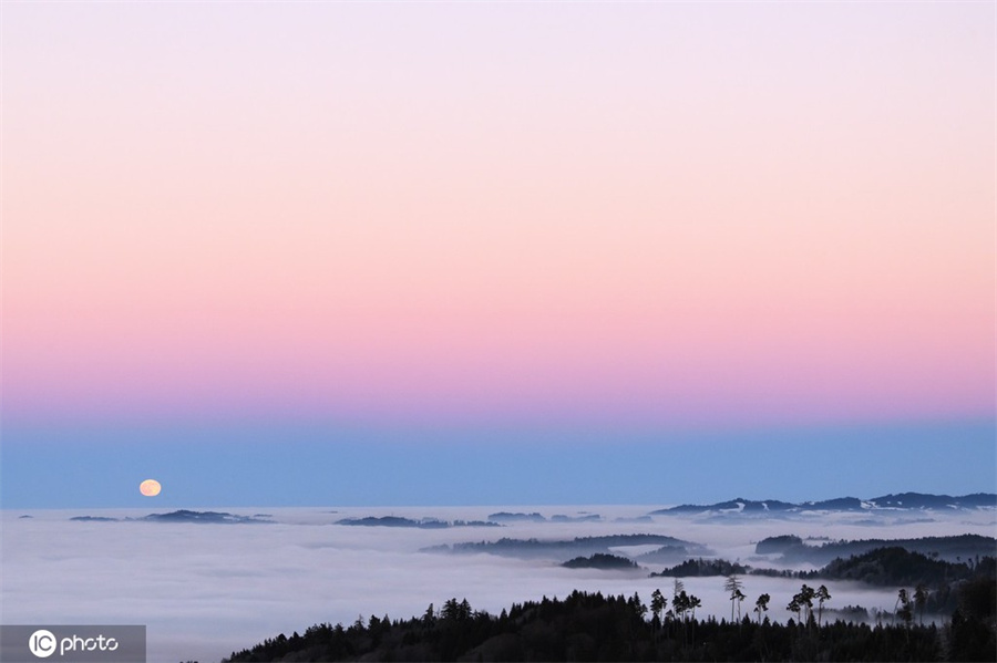 ICPhoto(qun)ƷՈ(qng)D(zhun)d