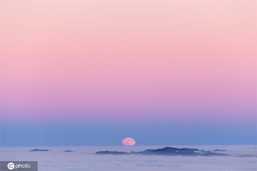 ICPhoto(qun)ƷՈ(qng)D(zhun)d