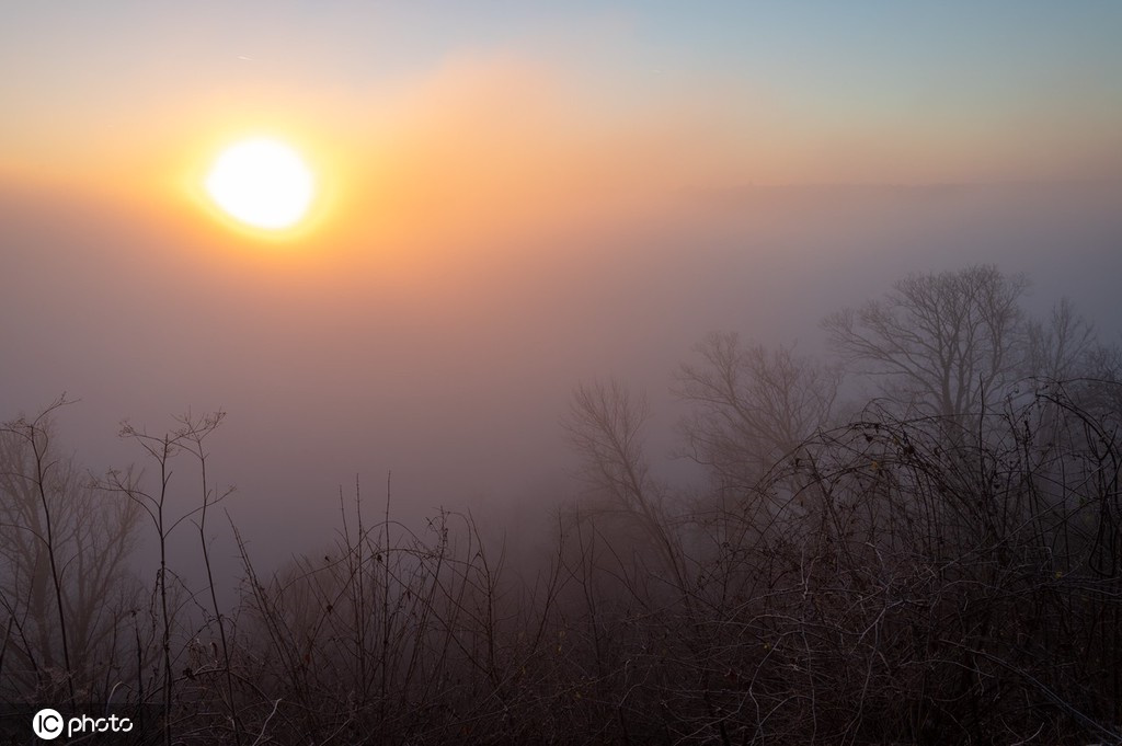 ICPhoto(qun)ƷՈ(qng)D(zhun)d