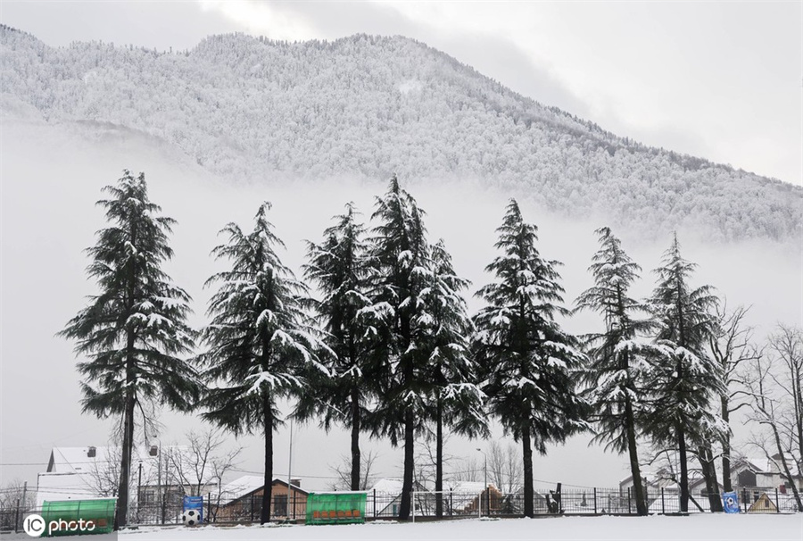 ICPhoto(qun)ƷՈD(zhun)d