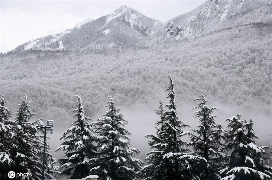 ICPhoto(qun)ƷՈ(qng)D(zhun)d