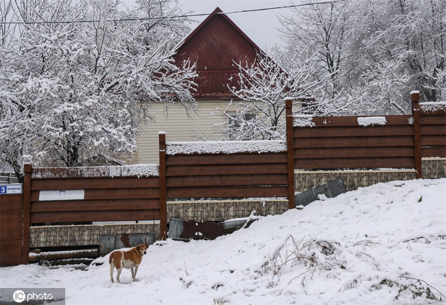 ICPhoto(qun)ƷՈD(zhun)d