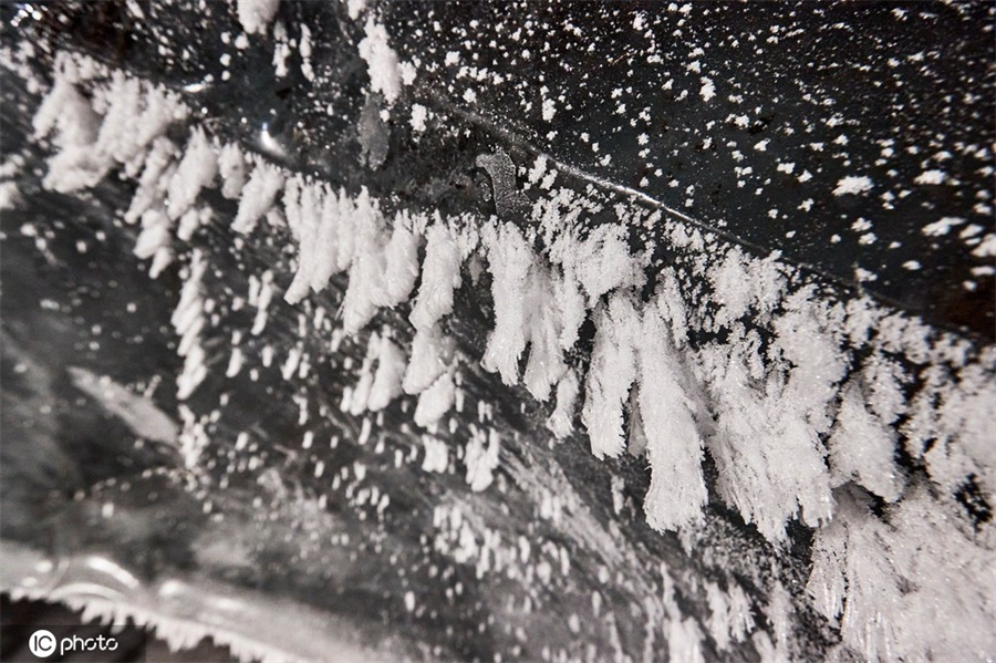 ICPhoto(qun)ƷՈ(qng)D(zhun)d