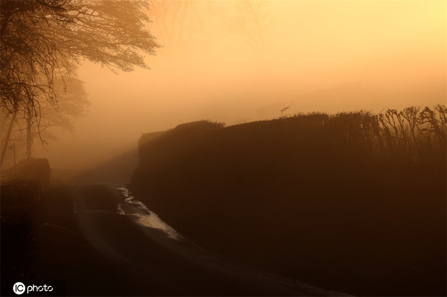 ICPhoto(qun)ƷՈ(qng)D(zhun)d