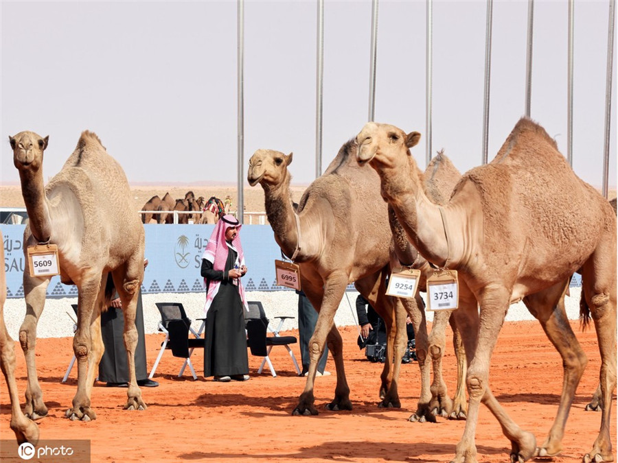 |IC(qun)ƷՈ(qng)D(zhun)d