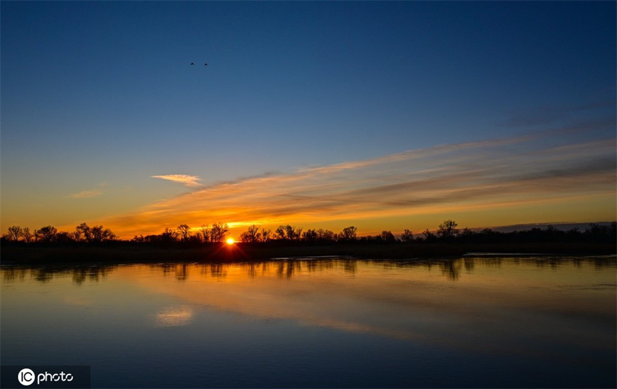 |IC(qun)ƷՈD(zhun)d