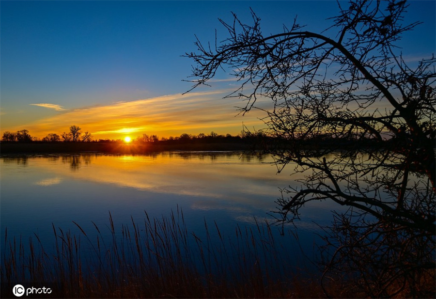 |IC(qun)ƷՈ(qng)D(zhun)d