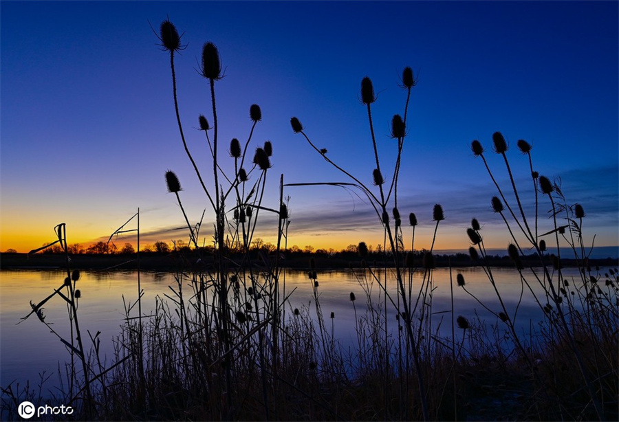 |IC(qun)ƷՈ(qng)D(zhun)d