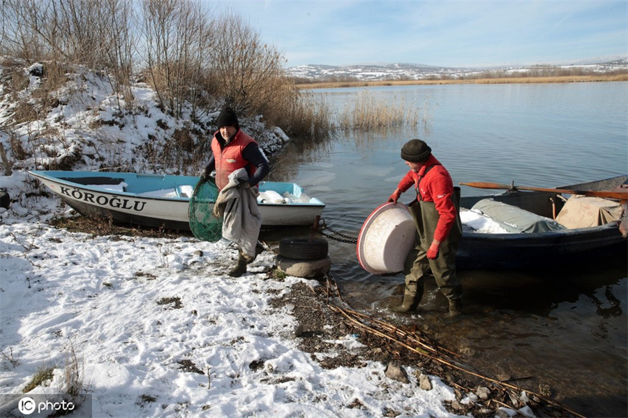 ICPhoto(qun)ƷՈ(qng)D(zhun)d