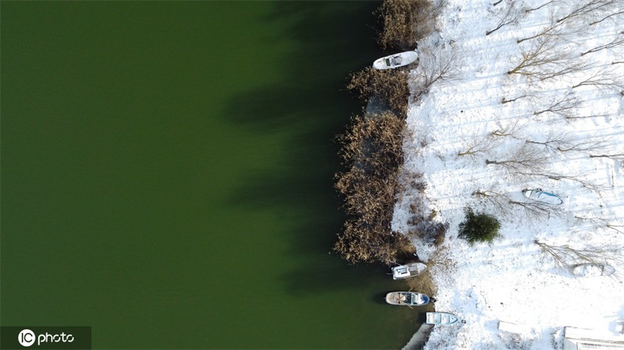 ICPhoto(qun)ƷՈD(zhun)d