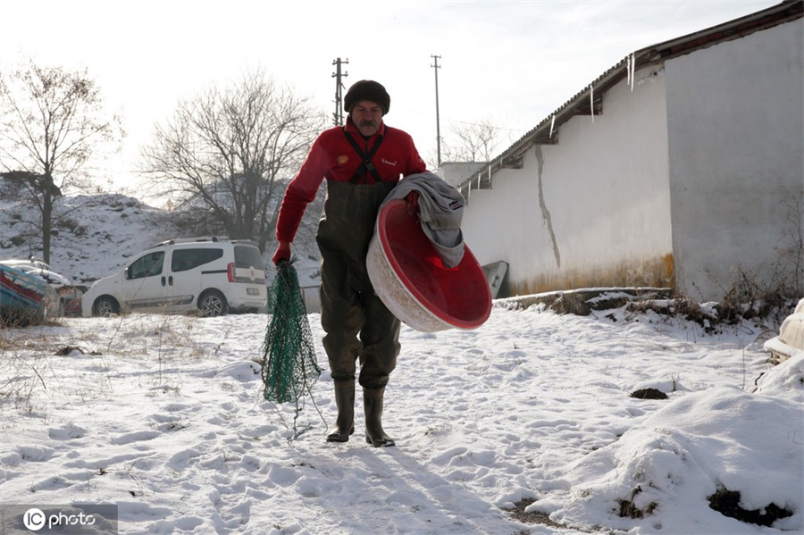 ICPhoto(qun)ƷՈD(zhun)d