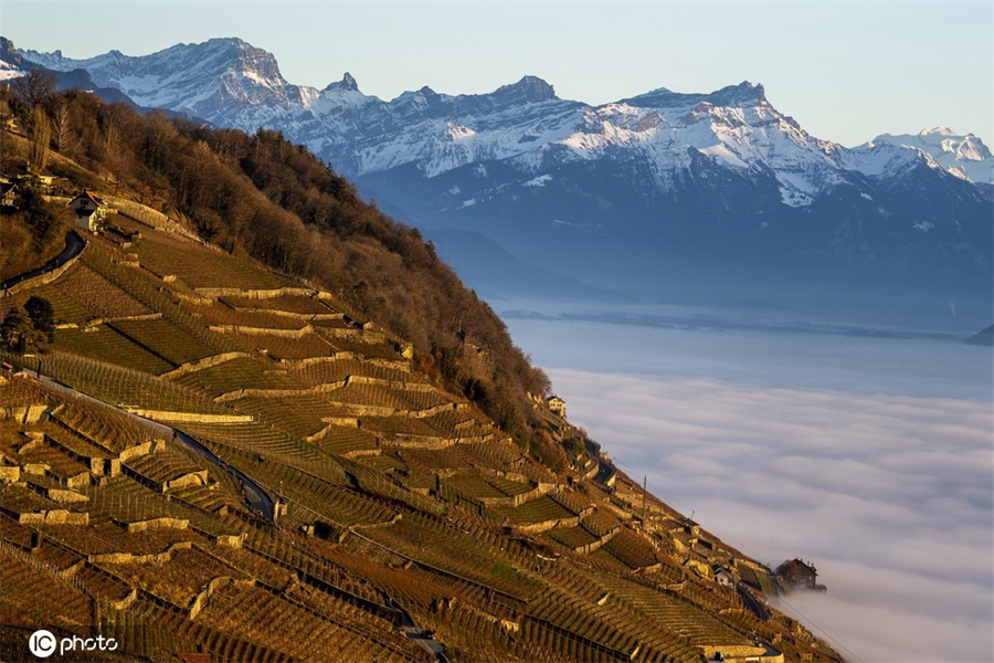 ICphoto(qun)ƷՈD(zhun)d