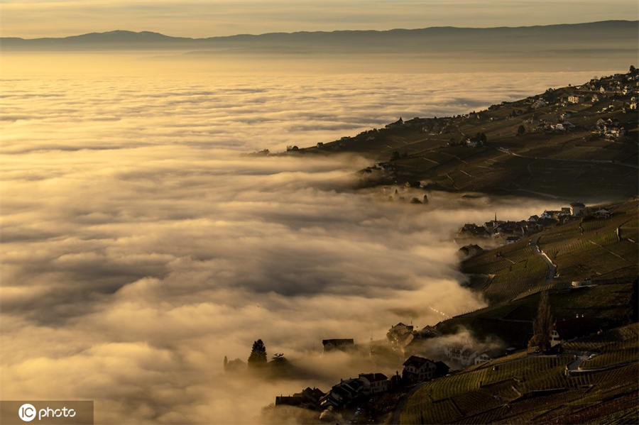 ICphoto(qun)ƷՈ(qng)D(zhun)d