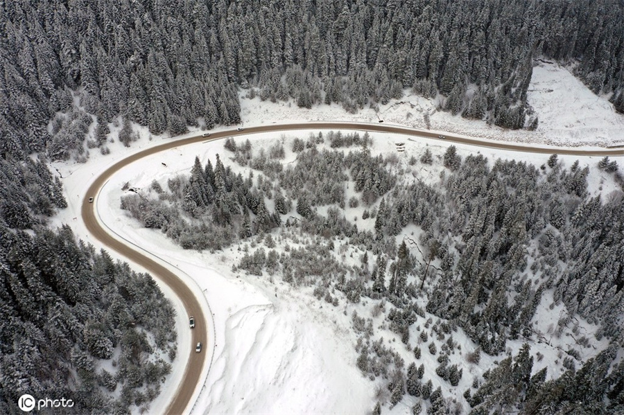 ICphoto(qun)ƷՈ(qng)D(zhun)d