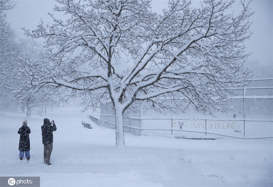 ICphoto(qun)ƷՈD(zhun)d