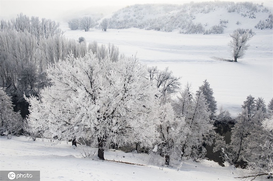 ICphoto(qun)ƷՈ(qng)D(zhun)d