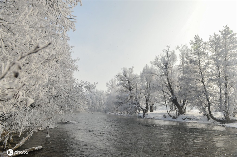 ICphoto(qun)ƷՈD(zhun)d