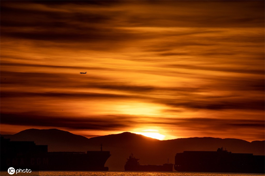 ICphoto(qun)ƷՈ(qng)D(zhun)d