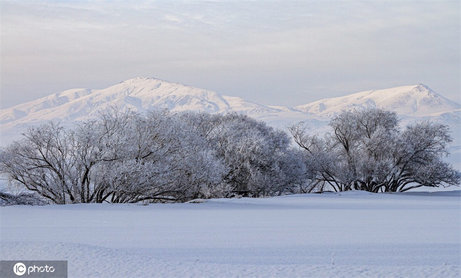 ICphoto(qun)ƷՈD(zhun)d