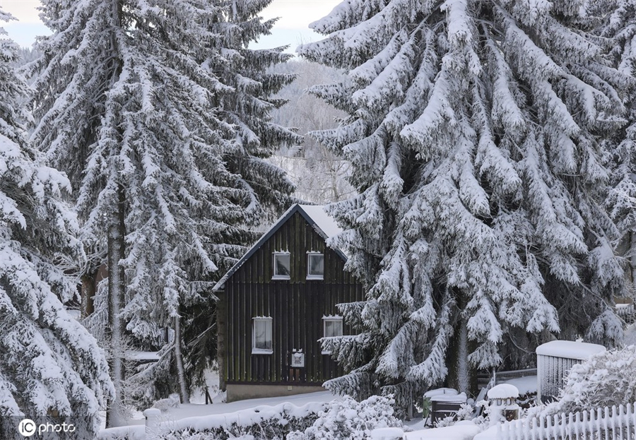 ICphoto(qun)ƷՈ(qng)D(zhun)d